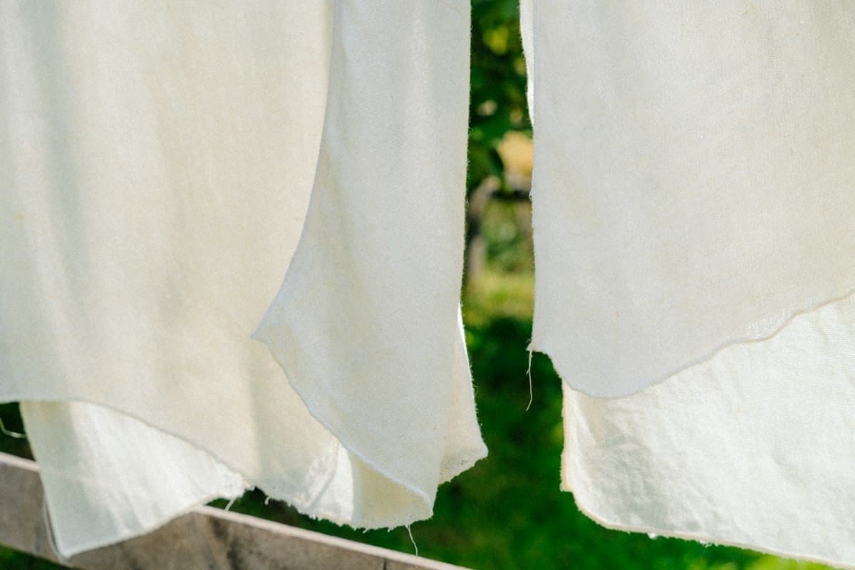 Starched cotton drying in the sun